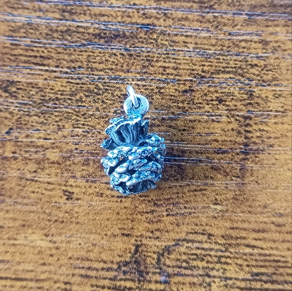 Vintage James Avery Pine Cone Charm Sterling Silver Retired Not Signed - Picture 6 of 6